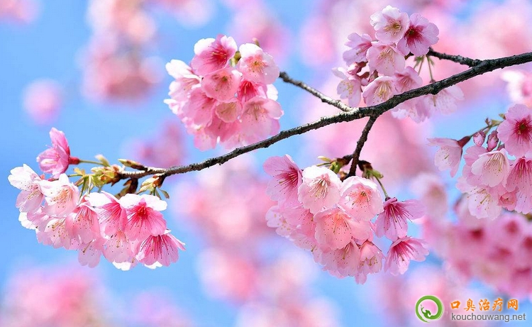 �γɿڳ���ԭ��֪����