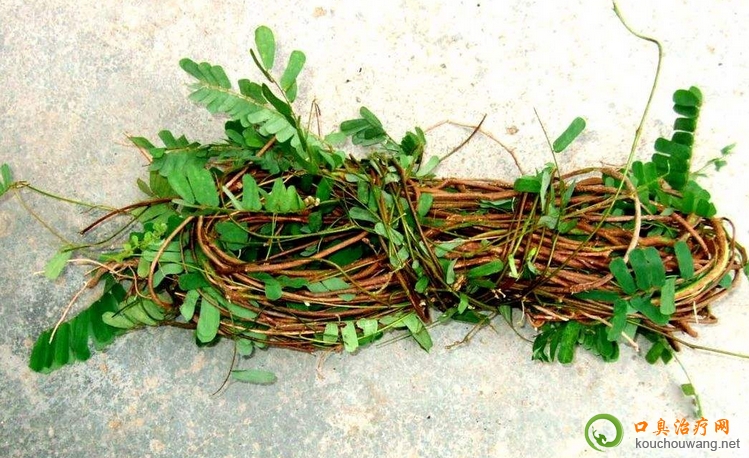 �ڳ����Գ��u�ǲ�