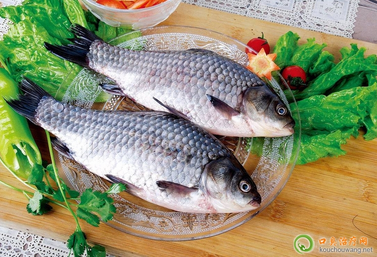 口臭可以吃鯽魚 口臭可以吃鯽魚