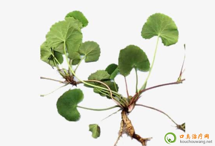 �ڳ����ԳԷeѩ��