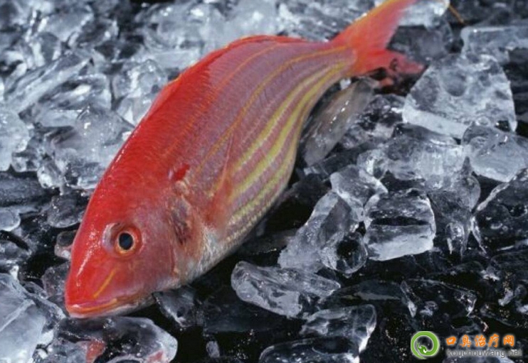 �ڳ����ԳԼt���~