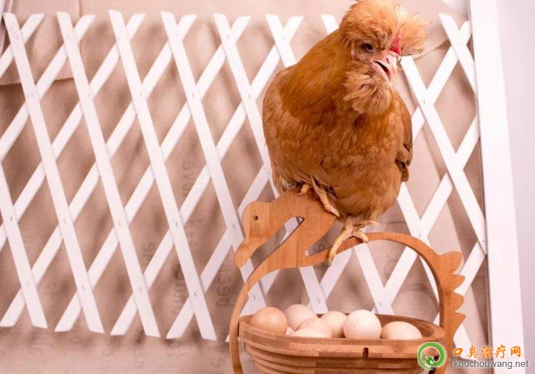 �ڳ����ԳԌm͢�u