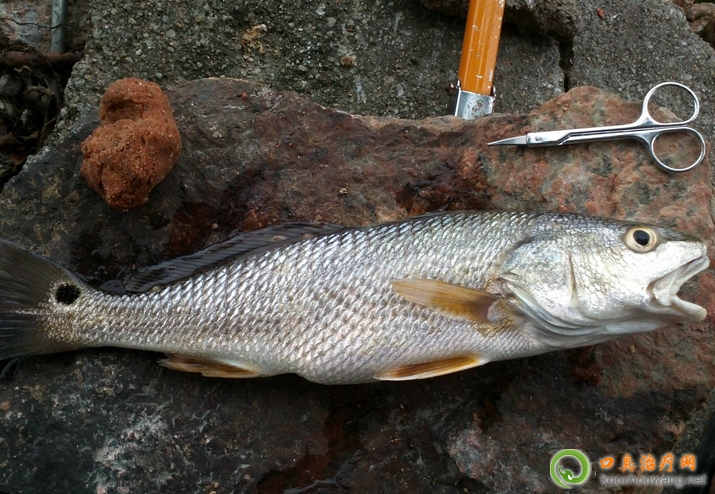 �ڳ����ԳԹ�ĸ�~